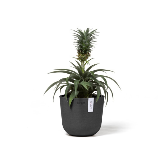 Γλάστρα Ecopots Oslo Mini 16*13.7 Μαύρο Γλάστρα Ecopots Oslo Mini 16*13.7 Μαύρο