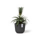 Γλάστρα Ecopots Oslo Mini 16*13.7 Μαύρο Γλάστρα Ecopots Oslo Mini 16*13.7 Μαύρο