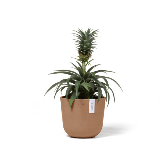 Γλάστρα Ecopots Oslo Mini 16*13.7 Terracotta Γλάστρα Ecopots Oslo Mini 16*13.7 Terracotta
