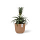Γλάστρα Ecopots Oslo Mini 16*13.7 Terracotta Γλάστρα Ecopots Oslo Mini 16*13.7 Terracotta