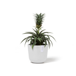 Γλάστρα Ecopots Oslo Mini 16*13.7 Λευκό 