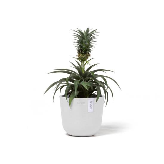 Γλάστρα Ecopots Oslo Mini 16*13.7 Λευκό Γλάστρα Ecopots Oslo Mini 16*13.7 Λευκό
