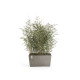 Γλάστρα Ecopots Little Paris 60*26*40.5 Taupe Γλάστρα Ecopots Little Paris 60*26*40.5 Taupe