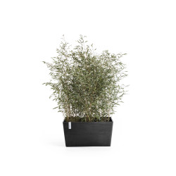 Γλάστρα  Ecopots Paris 80.3*38*40.5 Μαύρη 