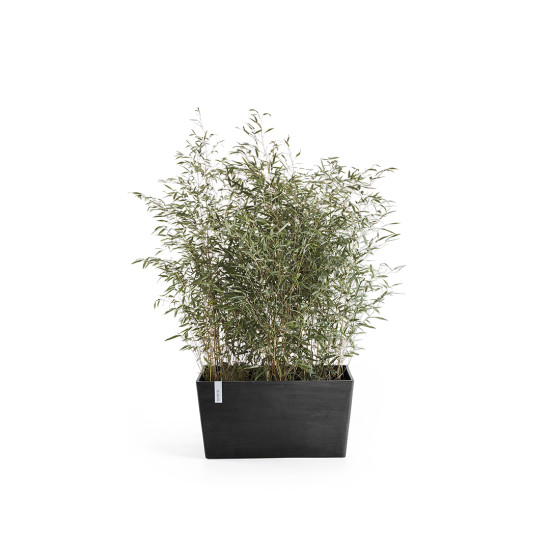 Γλάστρα Ecopots Paris 80.3*38*40.5 Μαύρη Γλάστρα Ecopots Paris 80.3*38*40.5 Μαύρη