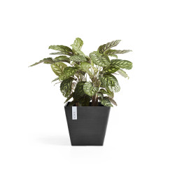 Γλάστρα Ecopots Rotterdam 50*50*43*5 Μαύρη 