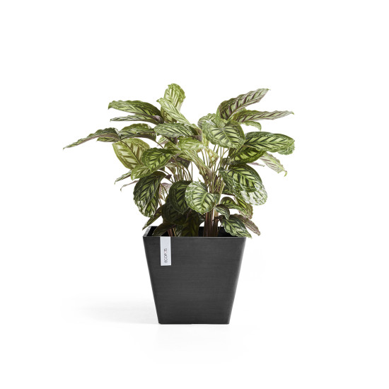 Γλάστρα Ecopots Rotterdam 50*50*43*5 Μαύρη Γλάστρα Ecopots Rotterdam 50*50*43*5 Μαύρη