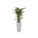 Γλάστρα Ecopots Rotterdam Mid High 56.5*32.7*32.7 Ανοιχτό Γρκί Γλάστρα Ecopots Rotterdam Mid High 56.5*32.7*32.7 Ανοιχτό Γρκί