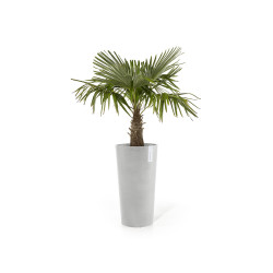 Γλάστρα Ecopots Amsterdam 66*34  Mid High Ανοιχτό Γκρί 