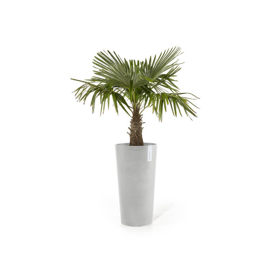 Γλάστρα Ecopots Amsterdam 66*34 Mid High Ανοιχτό Γκρί Γλάστρα Ecopots Amsterdam 66*34 Mid High Ανοιχτό Γκρί