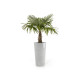 Γλάστρα Ecopots Amsterdam 66*34 Mid High Ανοιχτό Γκρί Γλάστρα Ecopots Amsterdam 66*34 Mid High Ανοιχτό Γκρί