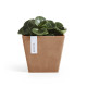 Γλάστρα Ecopots Rotterdam 20.3*20.3*17.8 Terracotta Γλάστρα Ecopots Rotterdam 20.3*20.3*17.8 Terracotta