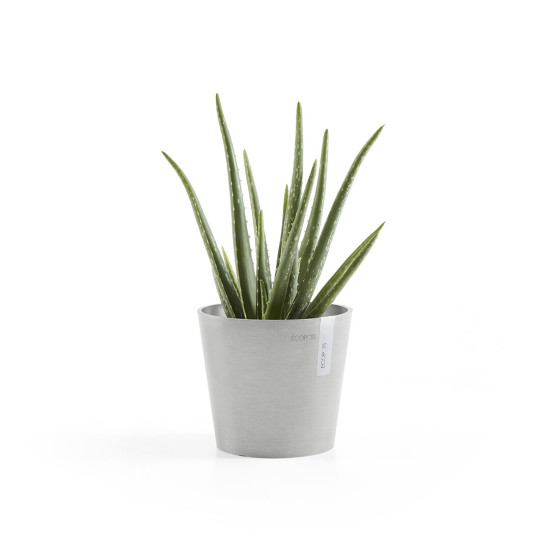 Γλάστρα Ecopots Amsterdam Μini 17*15 Λευκό Γκρί Γλάστρα Ecopots Amsterdam Μini 17*15 Λευκό Γκρί