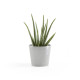 Γλάστρα Ecopots Amsterdam Μini 17*15 Λευκό Γκρί Γλάστρα Ecopots Amsterdam Μini 17*15 Λευκό Γκρί