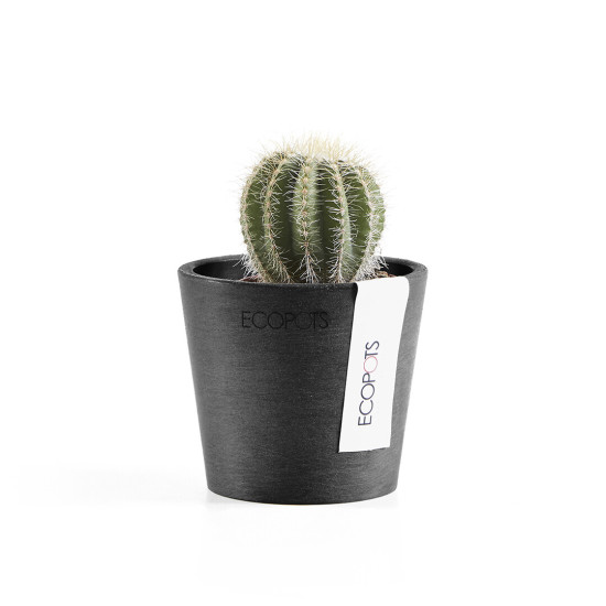 Γλάστρα Ecopots Amsterdam Μini 8*7 Μαυρή Γλάστρα Ecopots Amsterdam Μini 8*7 Μαυρή