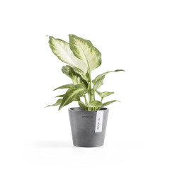 Γλάστρα Ecopots Amsterdam Mini 10.5*9.2 Γκρί 