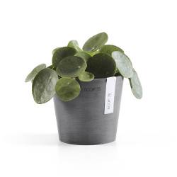 Γλάστρα  Ecopots Amsterdam Μini 13*11.4 Γκρί 