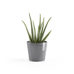 Γλάστρα Ecopots Amsterdam Μini 17*15 Γκρί 