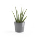 Γλάστρα Ecopots Amsterdam Μini 17*15 Γκρί Γλάστρα Ecopots Amsterdam Μini 17*15 Γκρί
