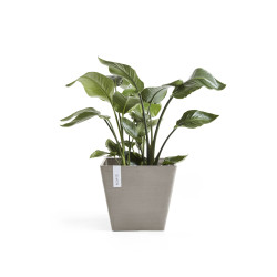Γλάστρα Ecopots Rotterdam 29.5*29.5*26.4 Taupe