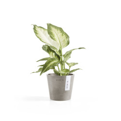 Γλάστρα  Ecopots Amsterdam Μini 10.5*9.5 Taupe 