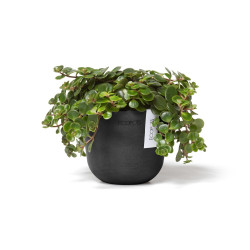 Γλάστρα Ecopots Oslo Mini 11.5*9.5 Μαύρο 