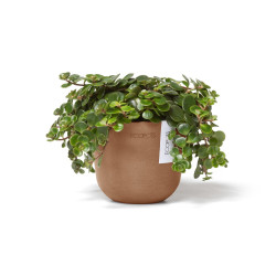 Γλάστρα Ecopots Oslo Mini 11.5*9.5 Terracotta