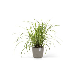 Γλάστρα Ecopots Oslo Mini 19*16.5 Taupe