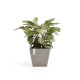 Γλάστρα Ecopots Rotterdam 50*50*43.5 Taupe Γλάστρα Ecopots Rotterdam 50*50*43.5 Taupe