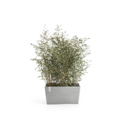 Γλάστρα Ecopots Little Paris 60*26*40.5 Ανοιχτό Γκρί 