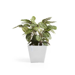 Γλάστρα Ecopots Rotterdam 50*50*43.5 Λευκή 