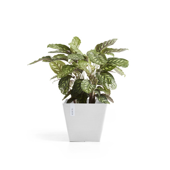Γλάστρα Ecopots Rotterdam 50*50*43.5 Λευκή Γλάστρα Ecopots Rotterdam 50*50*43.5 Λευκή