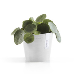 Γλάστρα Ecopots Amsterdam Μini 13*11.4 Λευκό