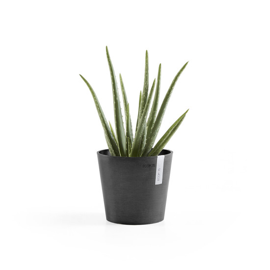 Γλάστρα Ecopots Amsterdam Μini 17*15 Μαύρη Γλάστρα Ecopots Amsterdam Μini 17*15 Μαύρη
