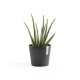 Γλάστρα Ecopots Amsterdam Μini 17*15 Μαύρη Γλάστρα Ecopots Amsterdam Μini 17*15 Μαύρη