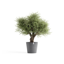 Γλάστρα Ecopots Amsterdam 70*32.5 Γκρί 