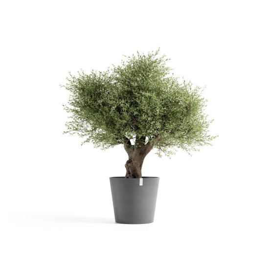 Γλάστρα Ecopots Amsterdam 70*32.5 Γκρί Γλάστρα Ecopots Amsterdam 70*32.5 Γκρί