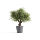 Γλάστρα Ecopots Amsterdam 70*32.5 Γκρί Γλάστρα Ecopots Amsterdam 70*32.5 Γκρί