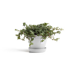 Γλάστρα  Ecopots Antwerp 40*30 Λευκό 