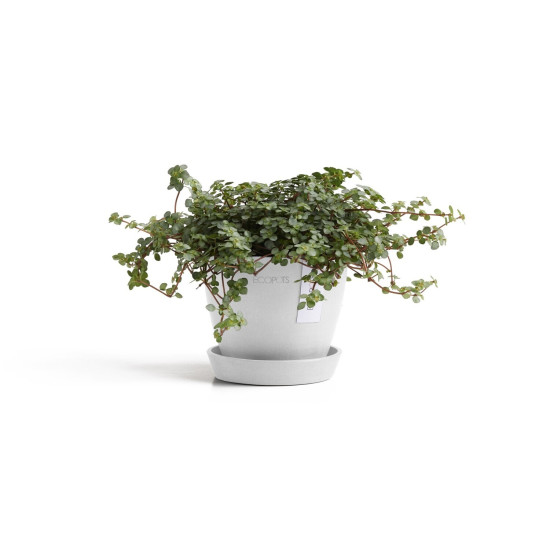 Γλάστρα  Ecopots Antwerp 40*30 Λευκό 