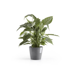 Γλάστρα Ecopots Amsterdam  20*17.5 Γκρί  