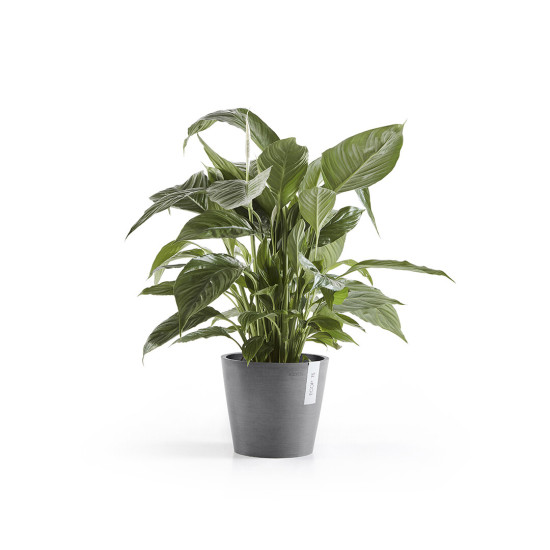 Γλάστρα Ecopots Amsterdam 20*17.5 Γκρί Γλάστρα Ecopots Amsterdam 20*17.5 Γκρί