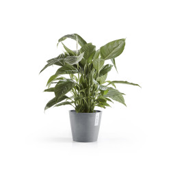 Γλάστρα Ecopots Amsterdam 20*17.1 Μπλέ Γκρί  