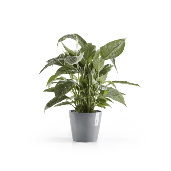 Γλάστρα Ecopots Amsterdam 20*17.1 Μπλέ Γκρί Γλάστρα Ecopots Amsterdam 20*17.1 Μπλέ Γκρί