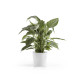 Γλάστρα Ecopots Amsterdam 20*17.5 Λευκή Γλάστρα Ecopots Amsterdam 20*17.5 Λευκή