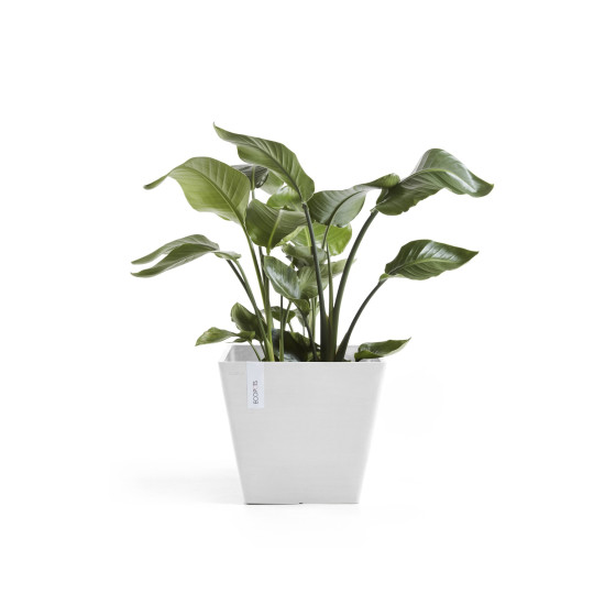 Γλάστρα Ecopots Rotterdam 20.3*20.3*17.8 Λευκή Γλάστρα Ecopots Rotterdam 20.3*20.3*17.8 Λευκή