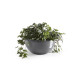Γλάστρα Ecopots Brussels 25*12 Γκρί Γλάστρα Ecopots Brussels 25*12 Γκρί