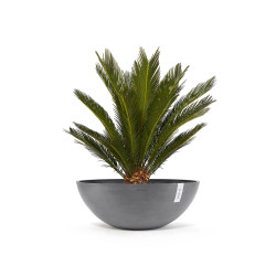 Γλάστρα Ecopots Vienna 70*25.5 Γκρί 