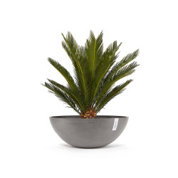 Γλάστρα Ecopots Vienna 70*25.5 Taupe