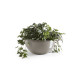 Γλάστρα Ecopots Brussels 25*12 Taupe 